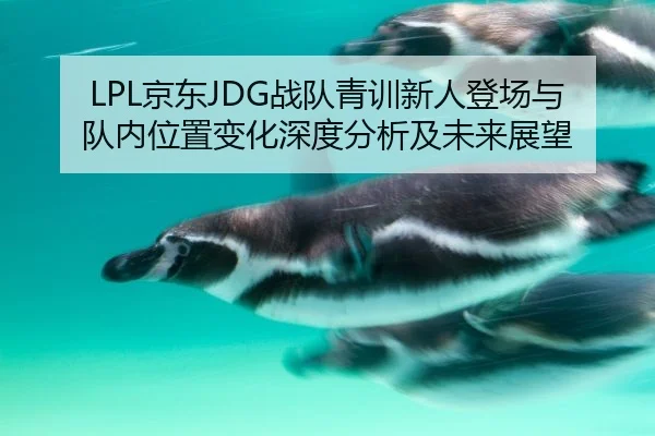 LPL京东JDG战队青训新人登场与队内位置变化深度分析及未来展望